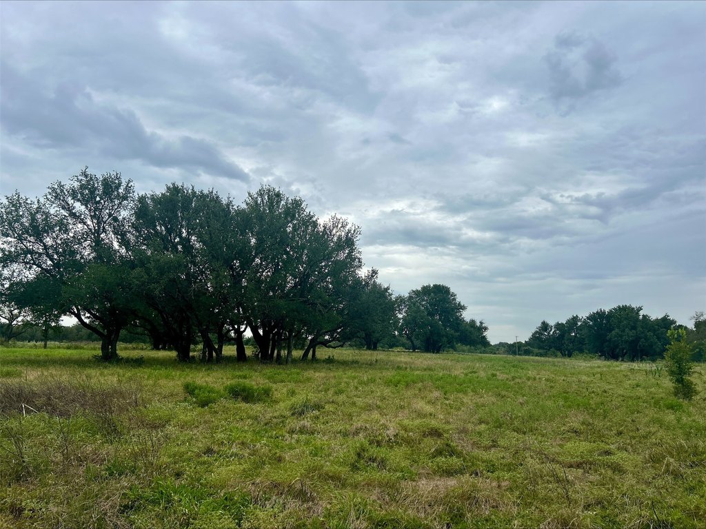 Picture 28