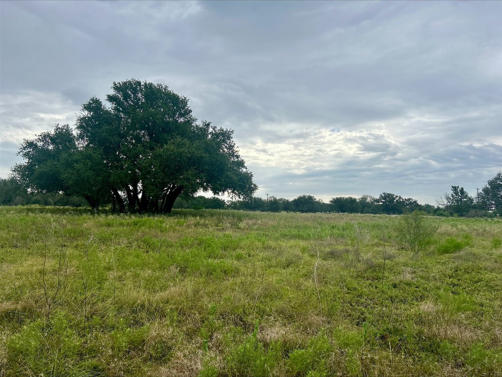 Picture 26