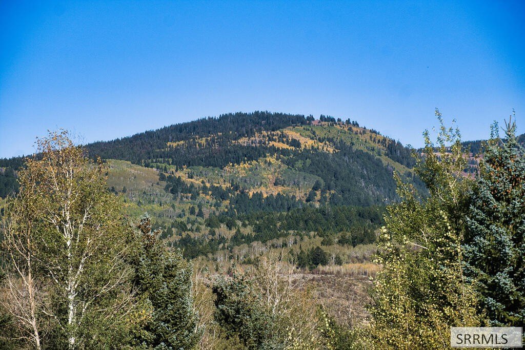 Picture 18