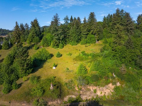 Smith River Land with Ocean Views