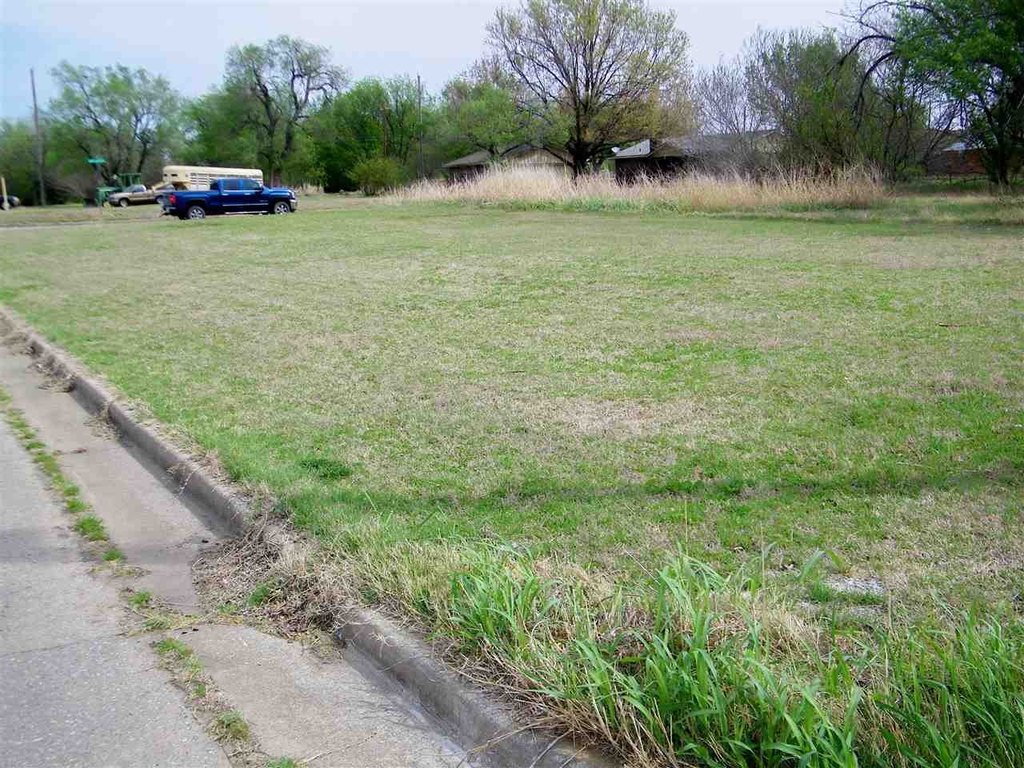 Picture 5