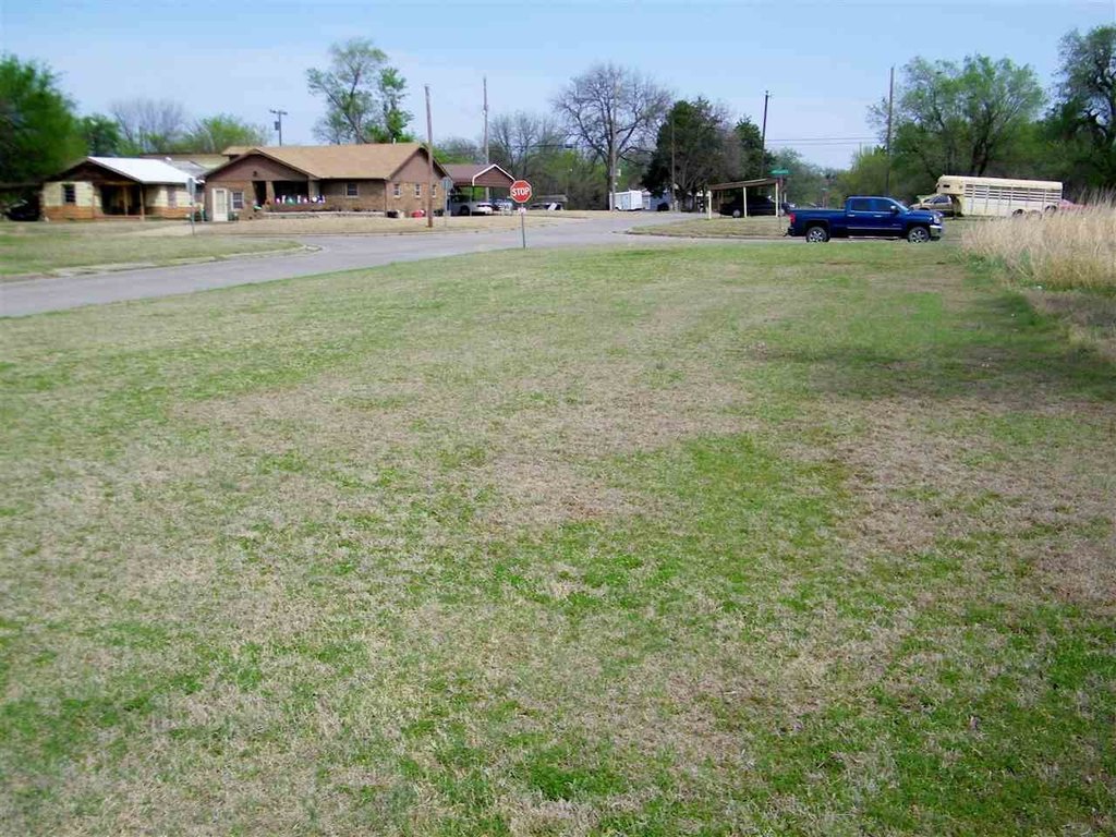 Picture 4