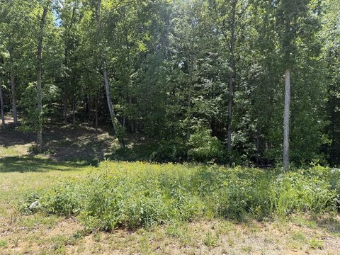 Residential Building Lot in Scottsville