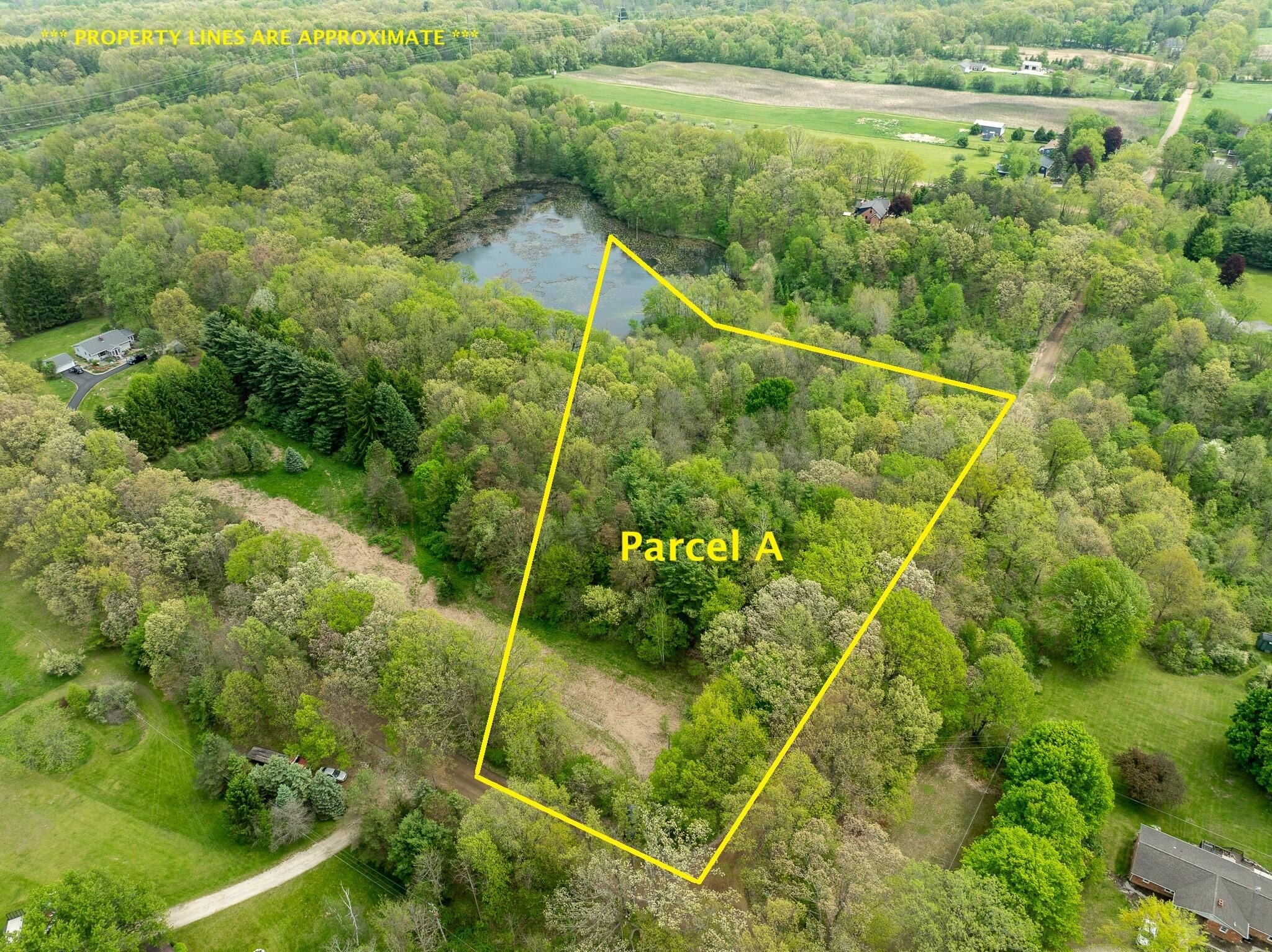 Land Parcel Near Fenton