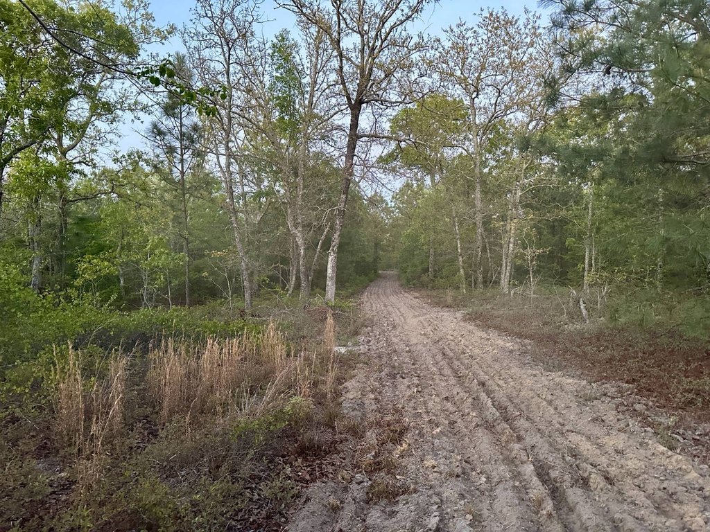 Picture 22