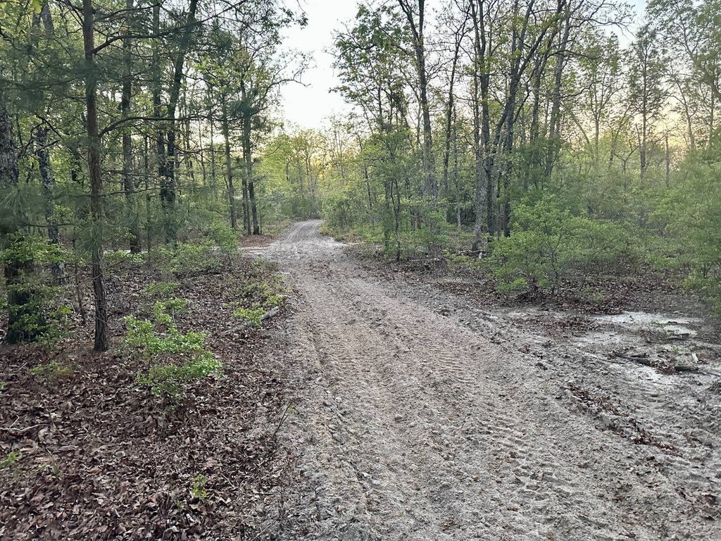Picture 19