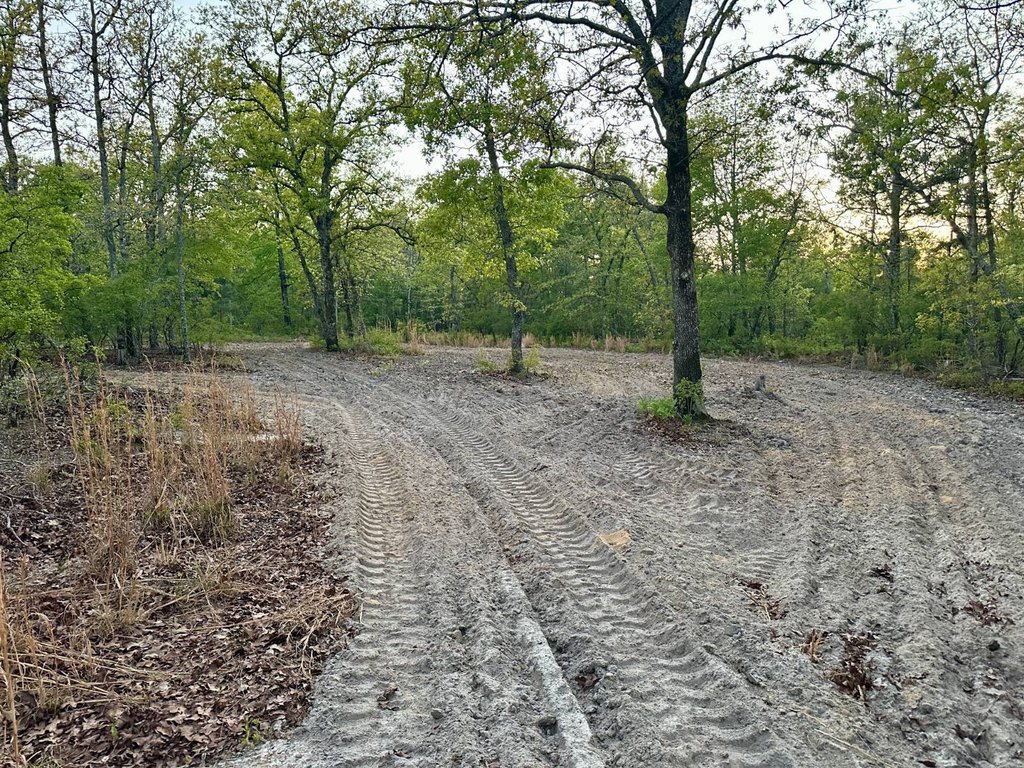 Picture 6