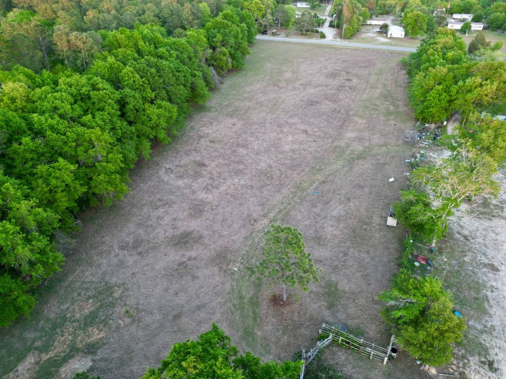 Picture 10
