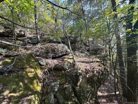 Searcy Land with Mineral Rights
