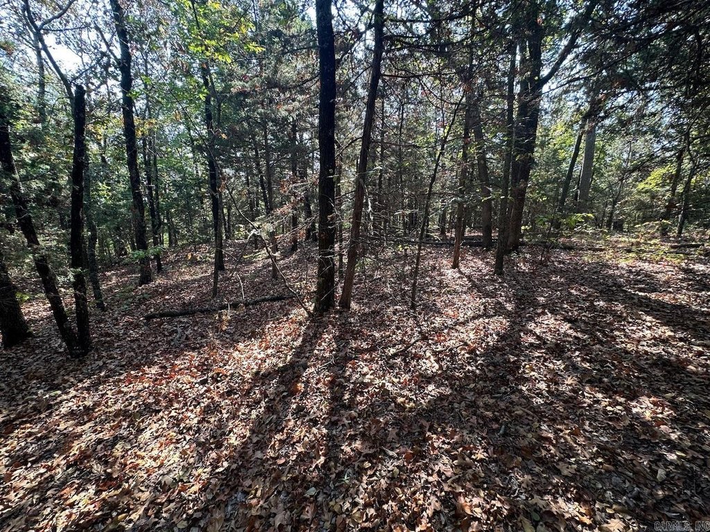 Picture 22
