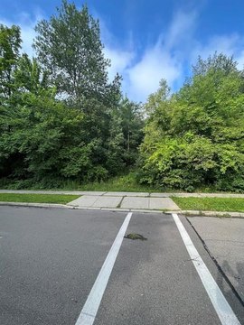 Vacant Oversized City Lot