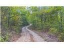 80 Acres of Ozarks Land
