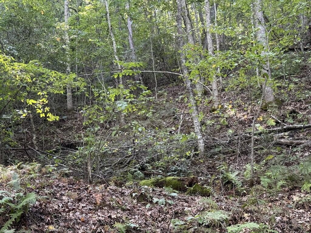 Picture 16