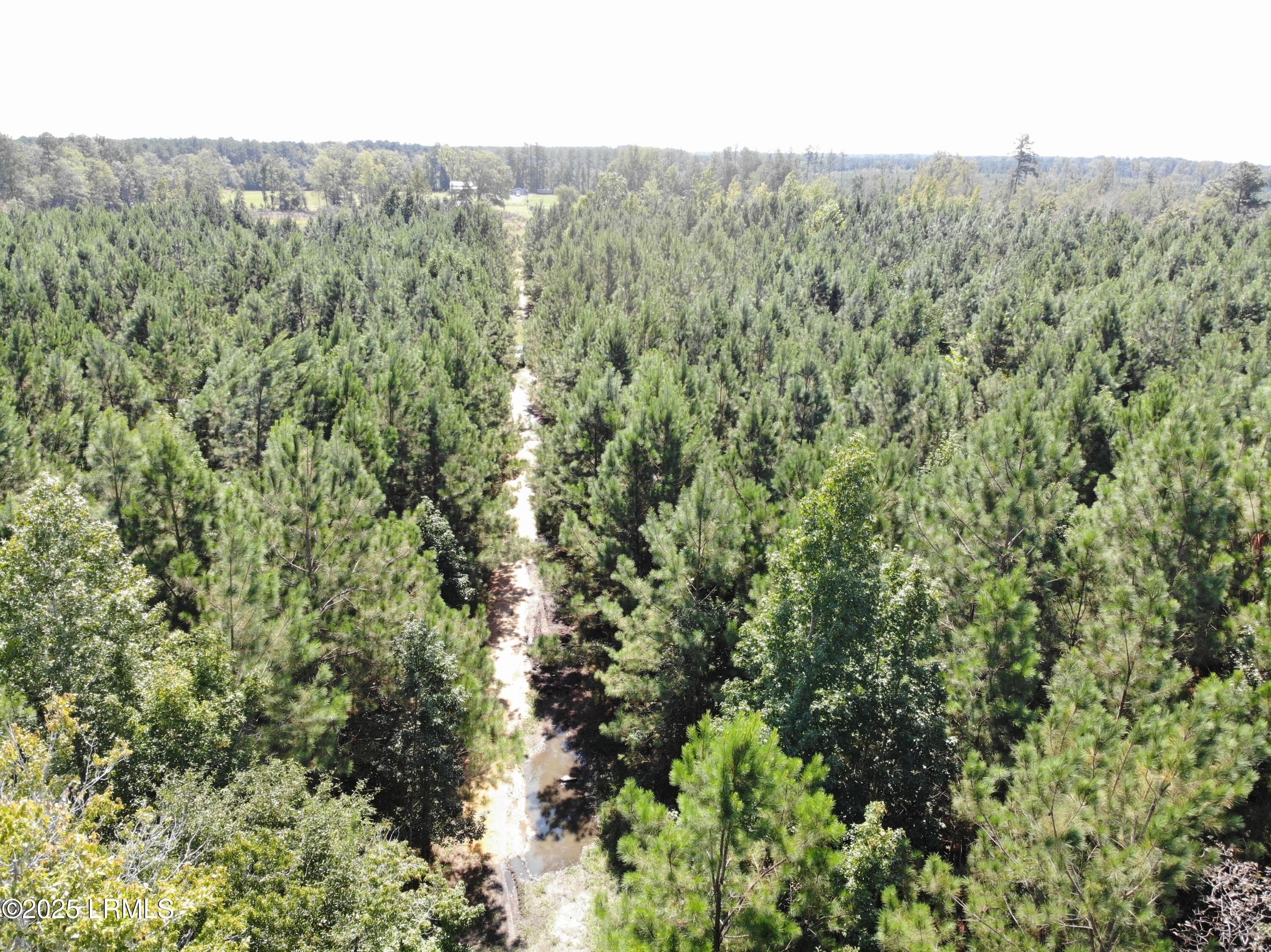 106+ Acres in Bamberg County