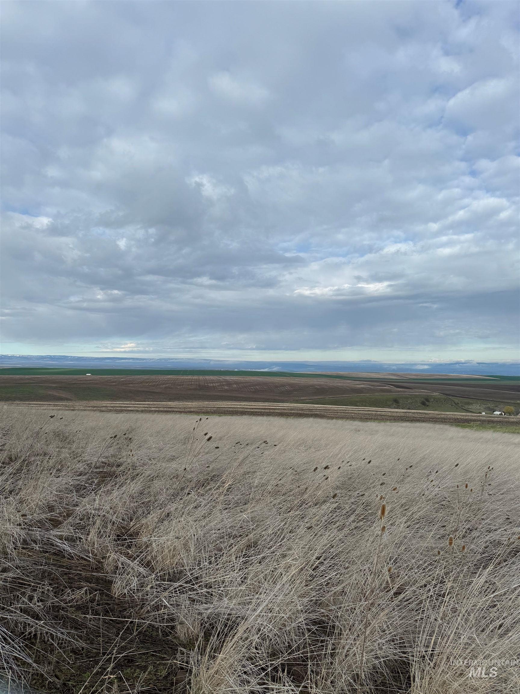 Lewiston, ID Land For Sale