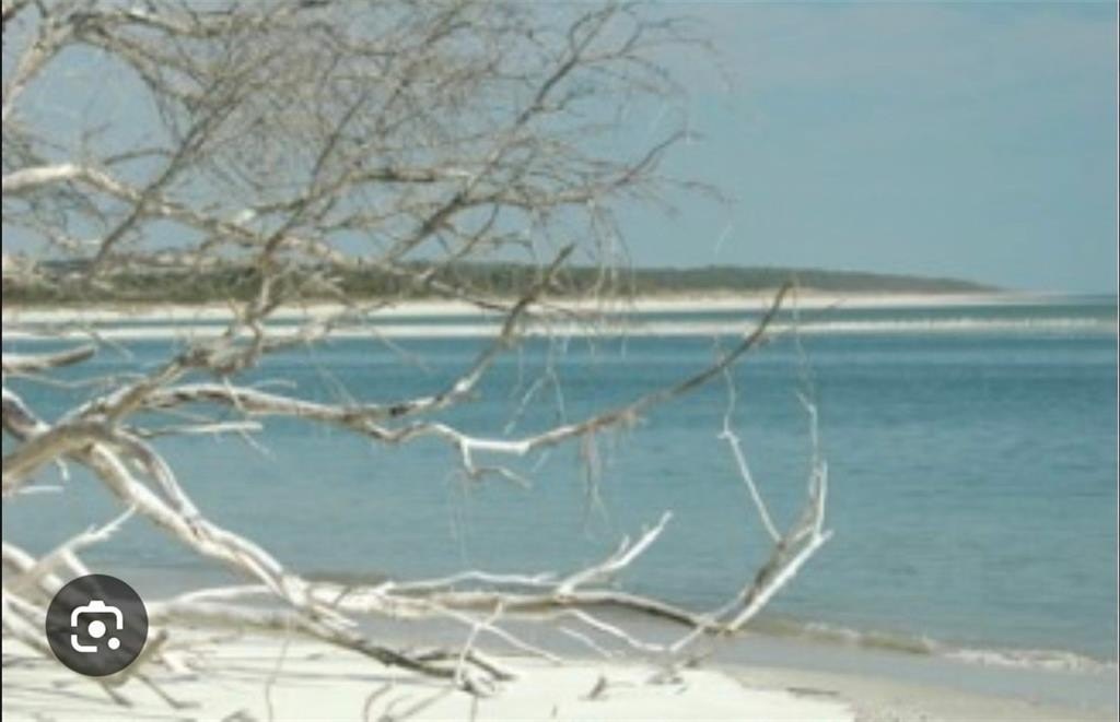 Picture 17