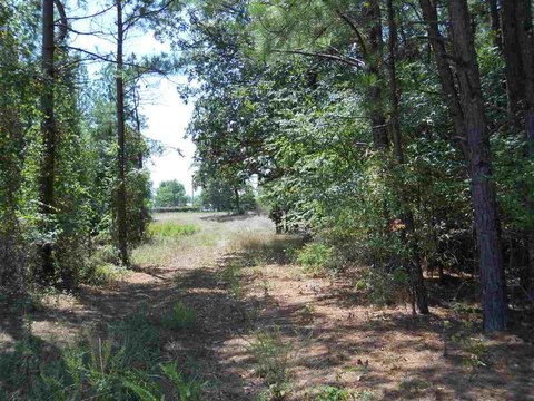 Hot Springs Land for Sale