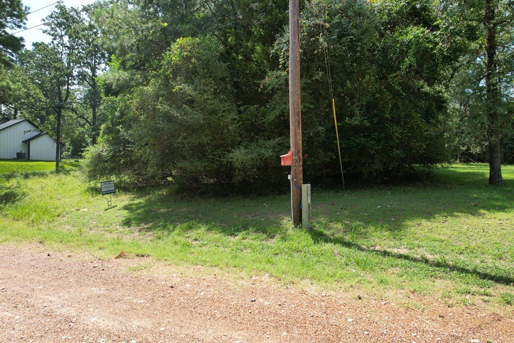Picture 5
