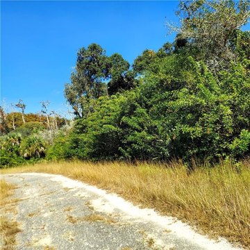 Residential Land in Lehigh Acres