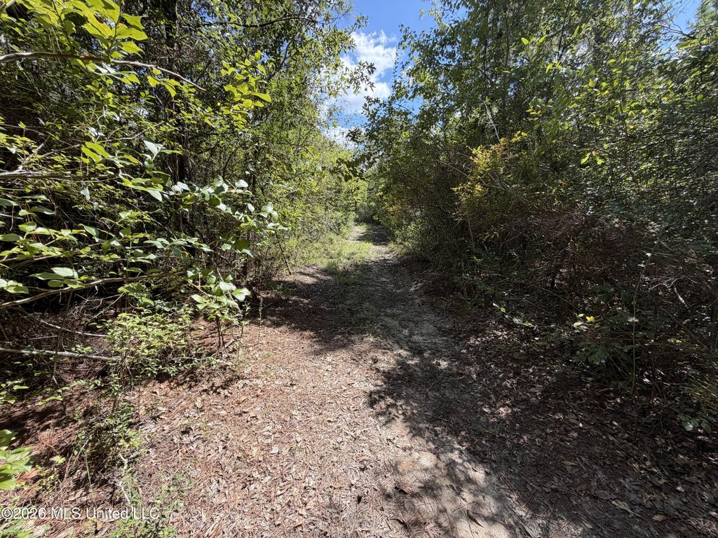 Picture 3