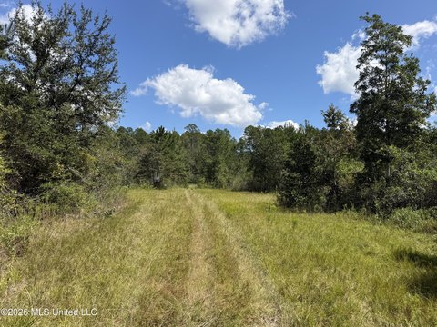 Land, Saucier, MS