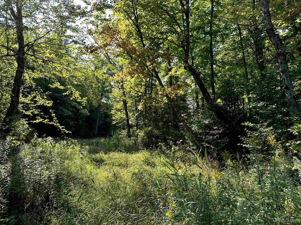 Picture 19