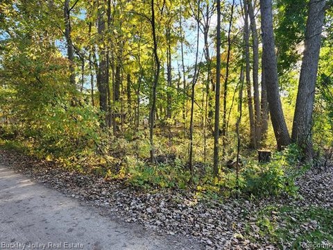 LAND - Hamburg Twp, MI