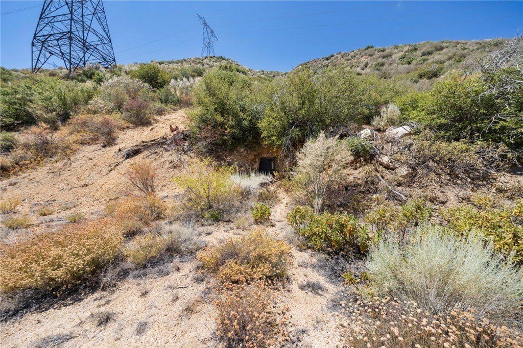 Picture 16