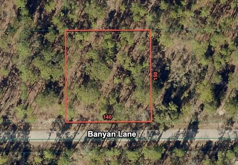 Dunnellon Land with Woods View