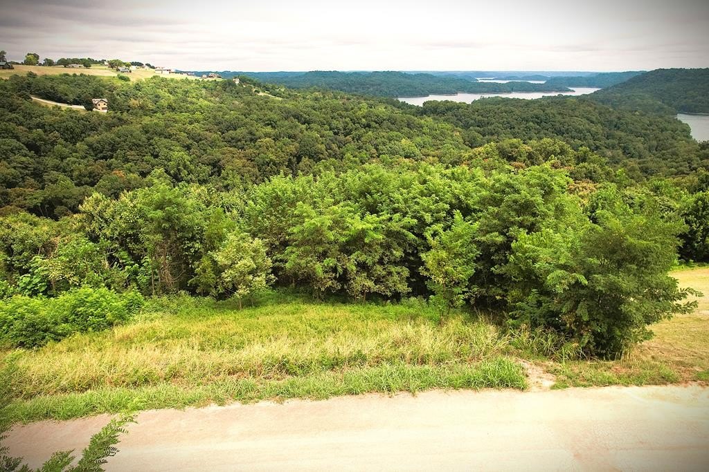 Dale Hollow Lake View Land