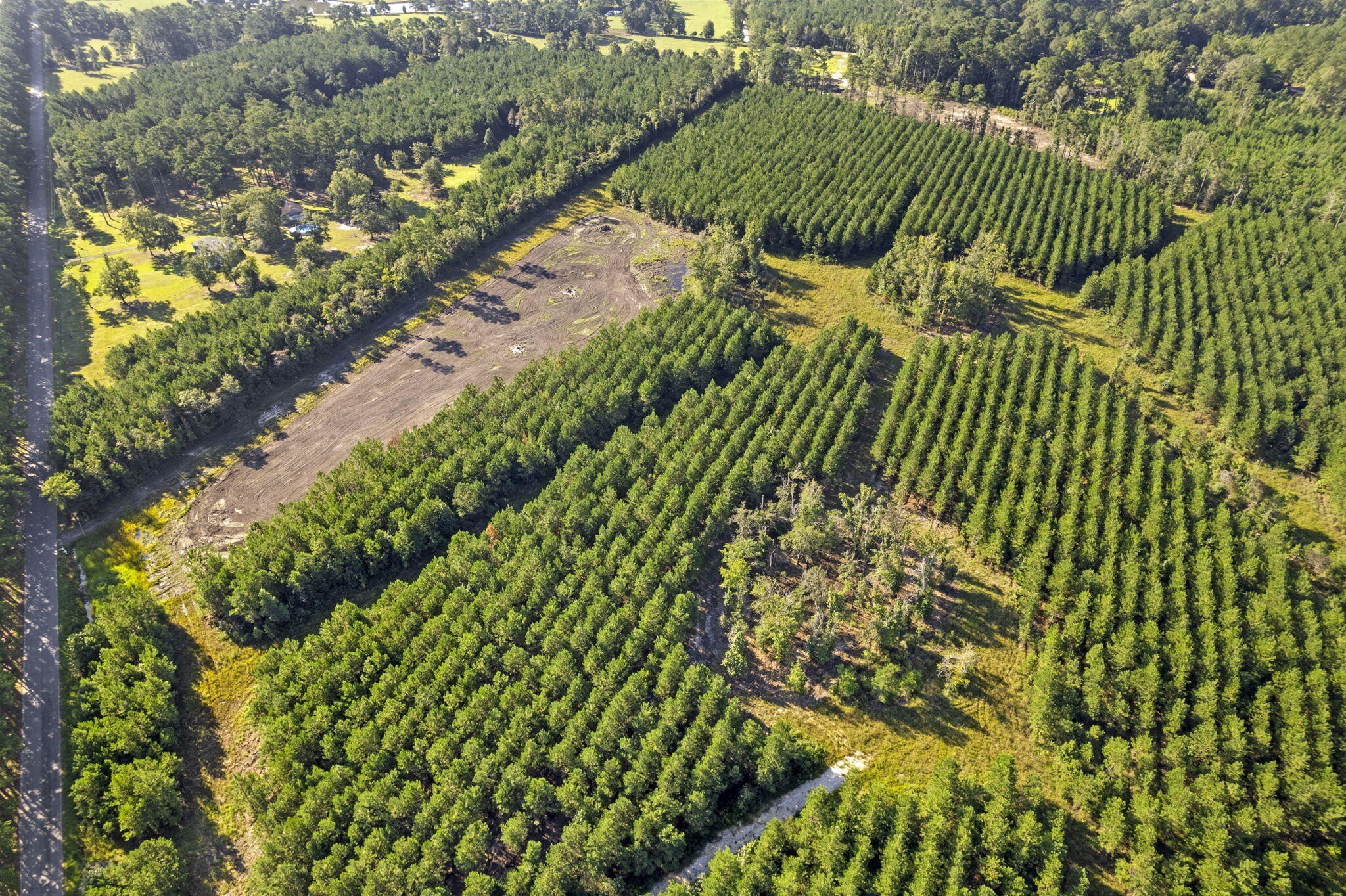 Ridgeville Land Ready to Build