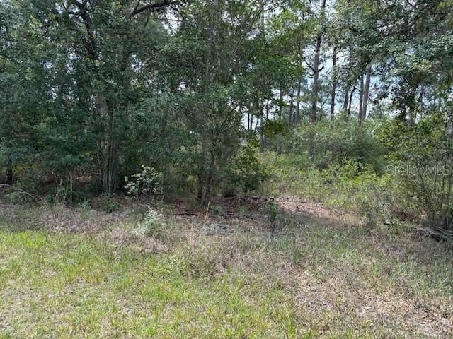 Residential Lot in Lake Community