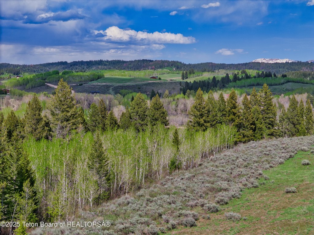 Picture 22