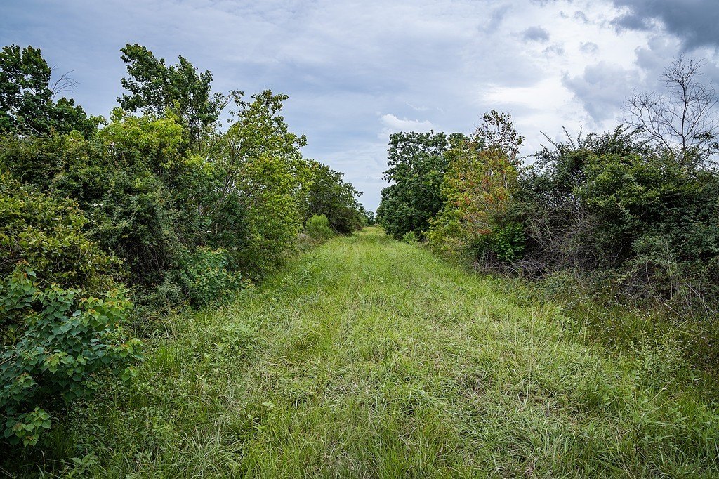 Picture 26