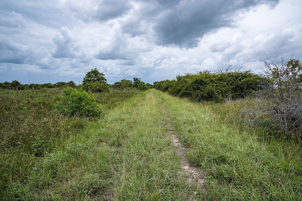 Picture 27