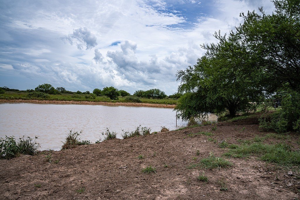 Picture 28