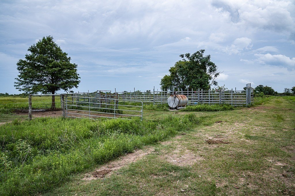 Picture 7