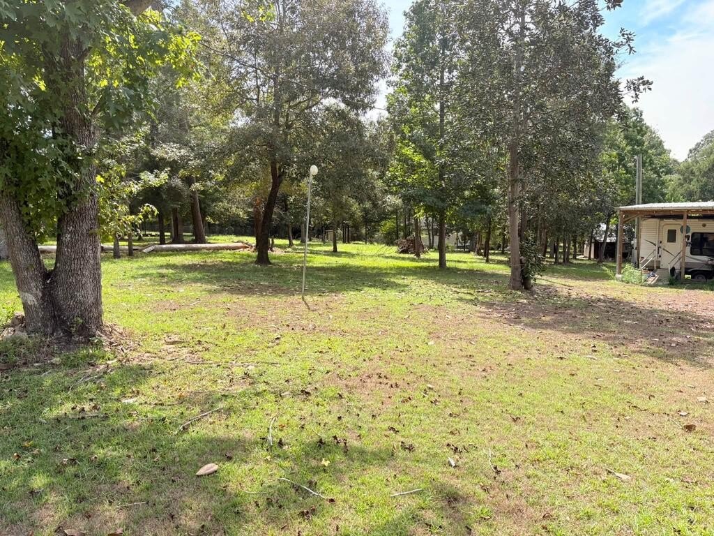 Picture 16