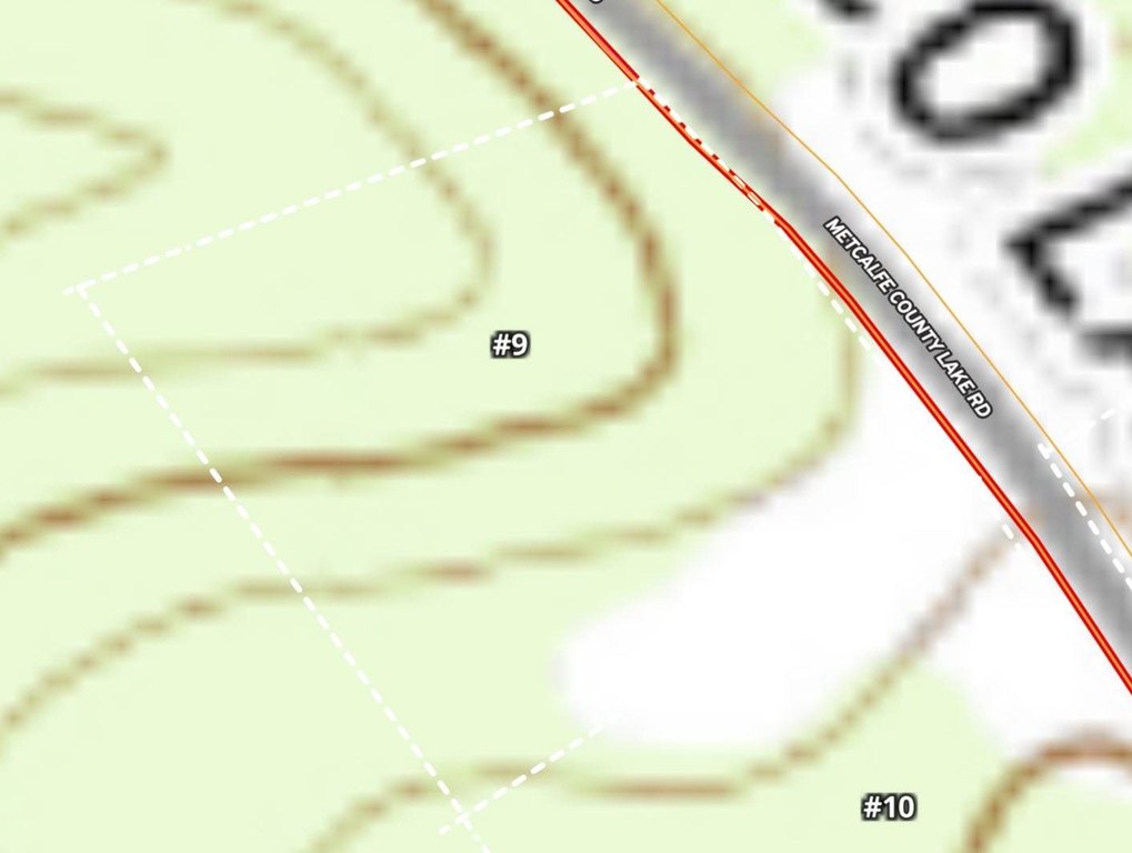 Picture 5