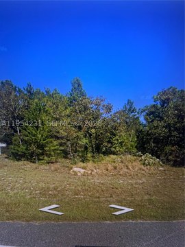 Residential Land Lot in Interlachen