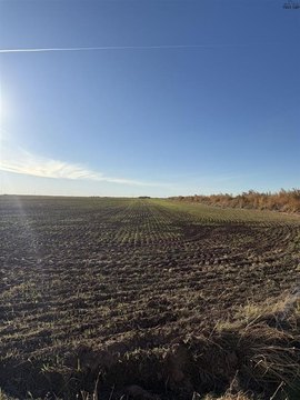 Productive Farmland Tract with Homesite