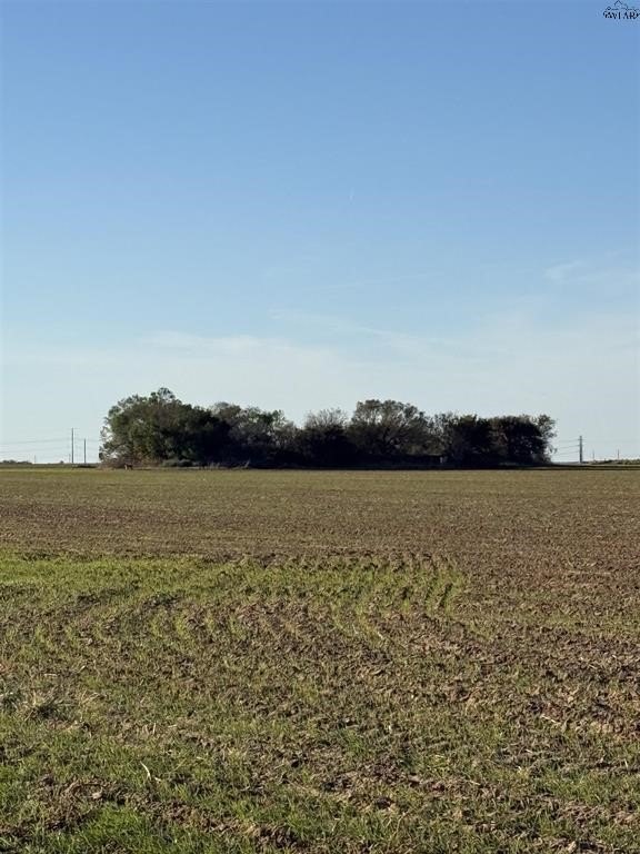 Picture 4