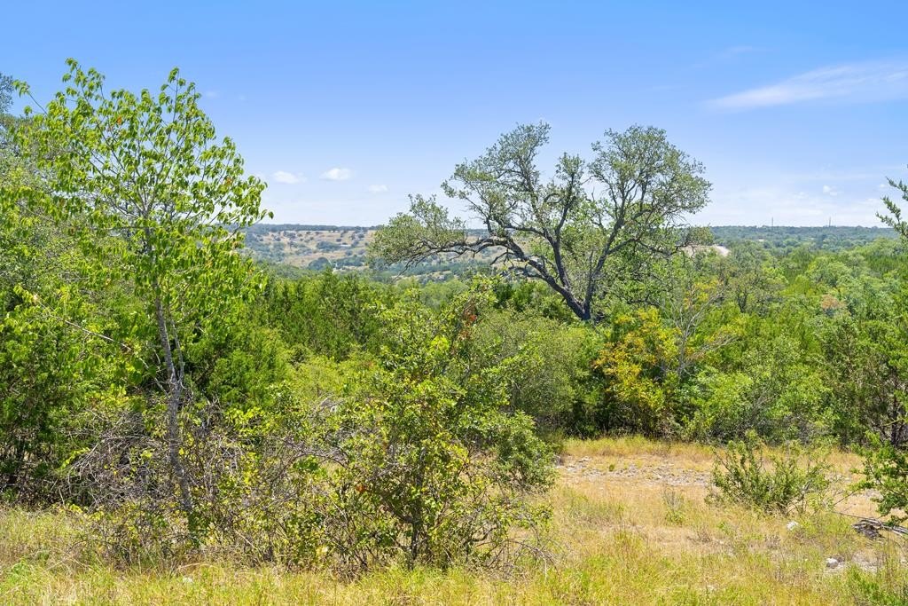 Secluded Hill Country Land