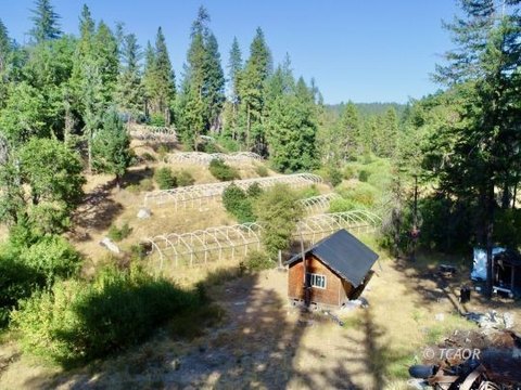 Vacant Land, Hayfork, CA