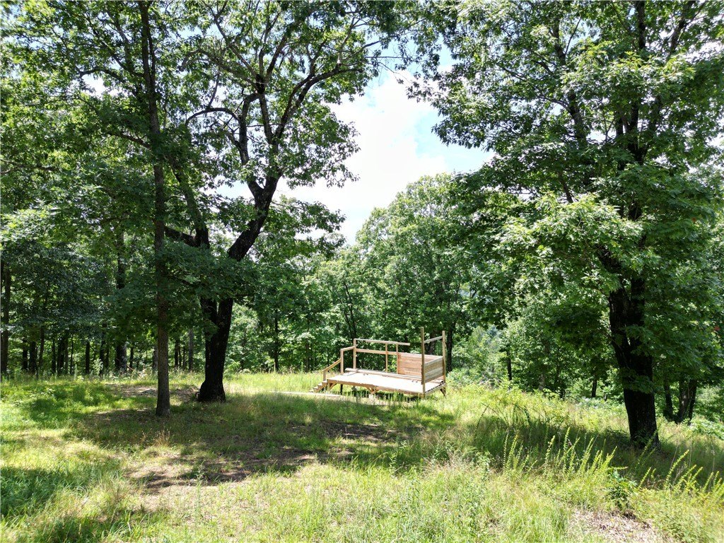 Picture 37