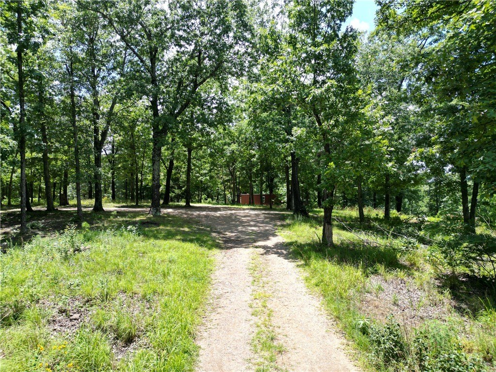 Picture 30