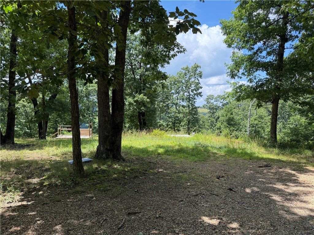Picture 28