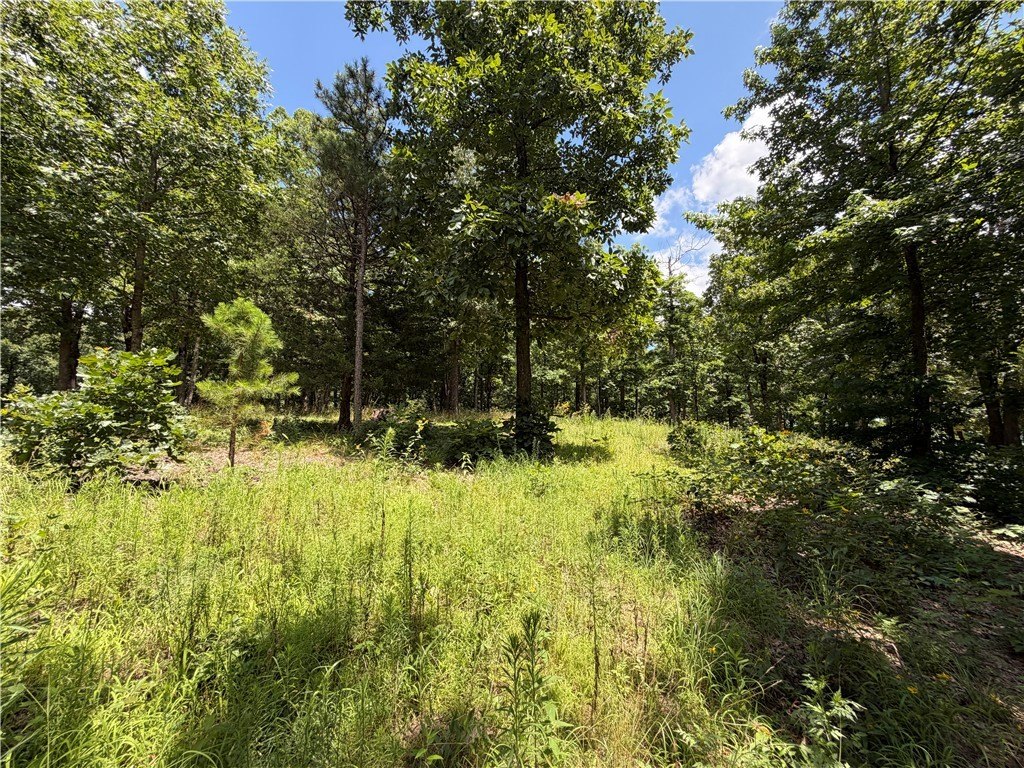 Picture 24