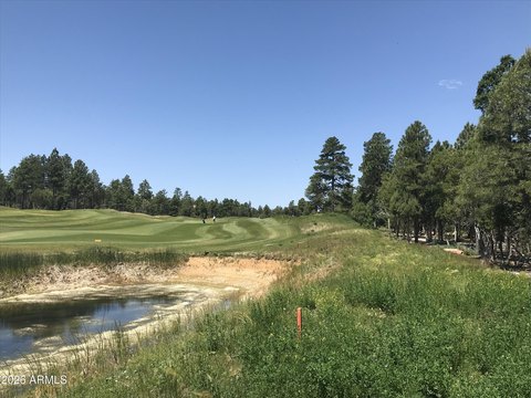 Land, Show Low, AZ