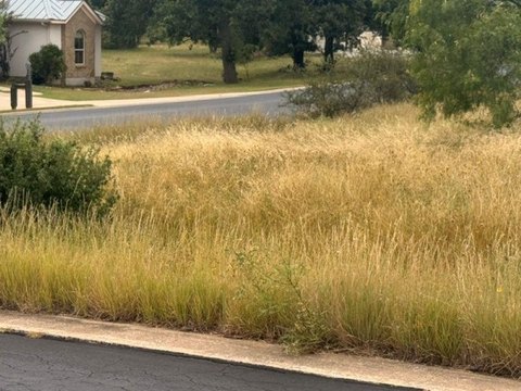 Homesite with Mature Trees